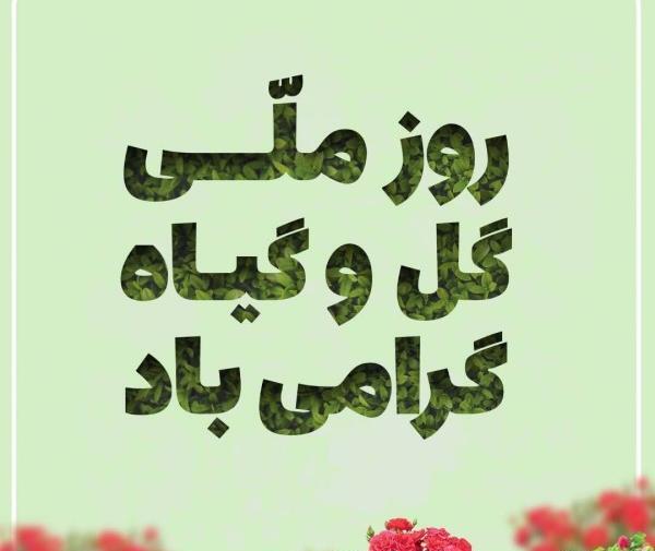 عکس روز جهانی گل