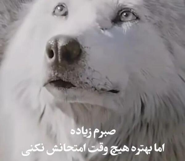 عکس نوشته صبرم زیاده
