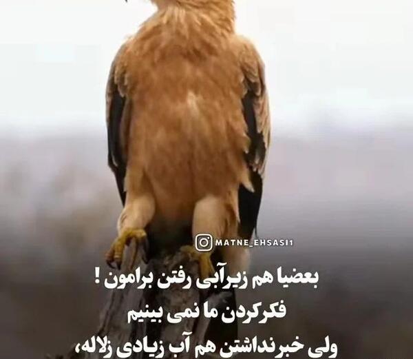 عکس نوشته صبرم زیاده