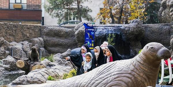 عکس پارک چانیول و همسرش