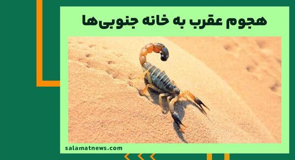 عکس چشم عقرب
