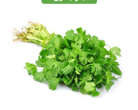 عکس جعفری تازه