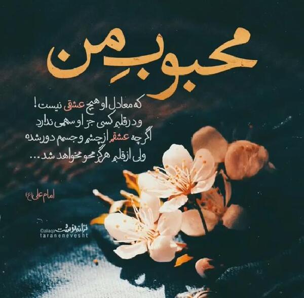 عکس نوشته ویژه شهادت حضرت فاطمه