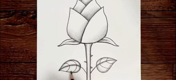 عکس نقاشی گل یخ