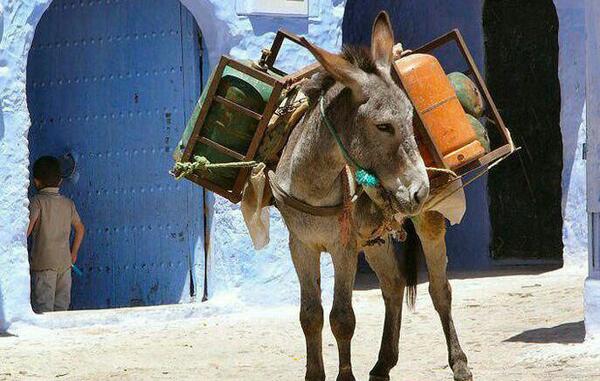 عکس خنده دار سال نو