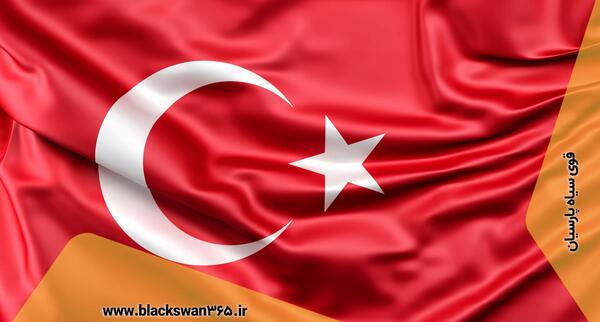 عکس ریه کرونایی در ترکیه