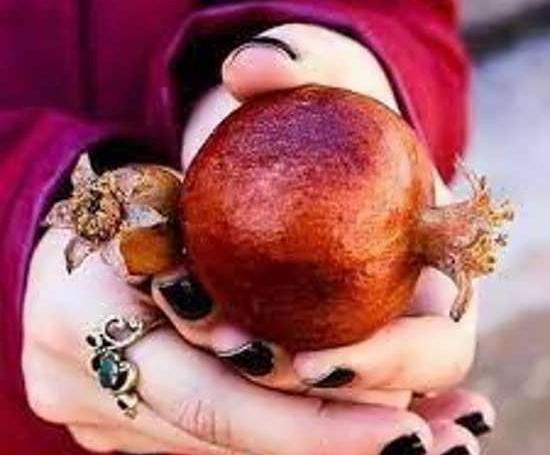 عکس پروفایل شب یلدا جدید