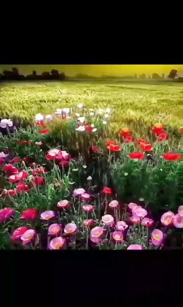 عکس خوشگل طبیعت برای پروفایل
