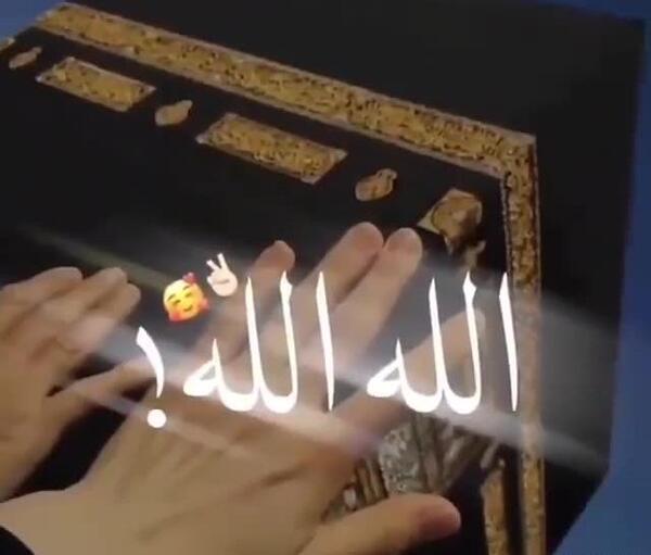 عکس برای وضعیت واتساپ گرگ