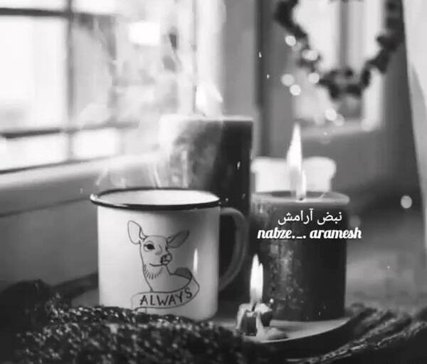 عکس برای وضعیت واتساپ گرگ