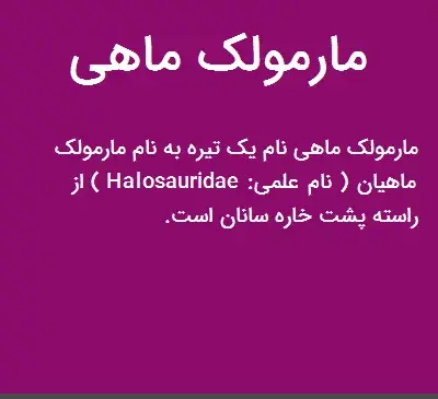 عکس مارمولک ماهی