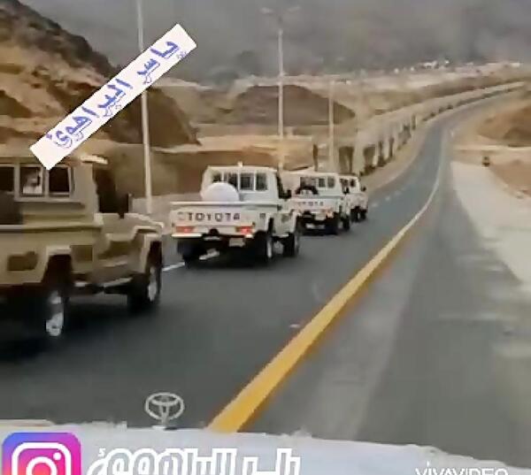 عکس دایناسور قشم