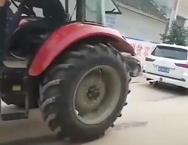 عکس دایناسور قشم