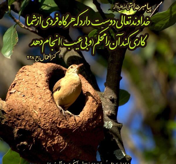 عکس نوشته حدیث درباره غرور