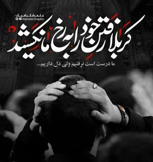 عکس خاص اربعین