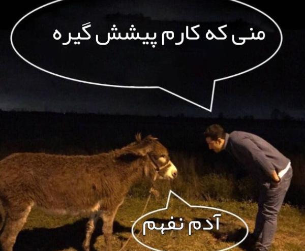 عکس آدم های فرانسه