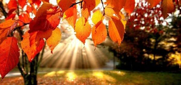 عکس نوشته انگلیسی درباره پاییز