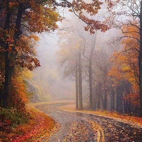 عکس نوشته انگلیسی درباره پاییز