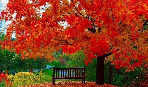 عکس نوشته انگلیسی درباره پاییز