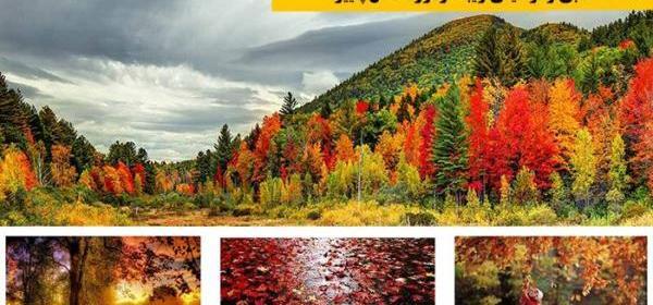 عکس نوشته انگلیسی درباره پاییز