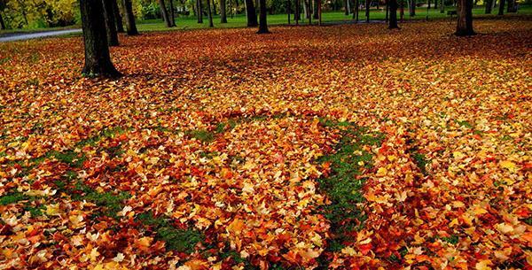 عکس نوشته انگلیسی درباره پاییز
