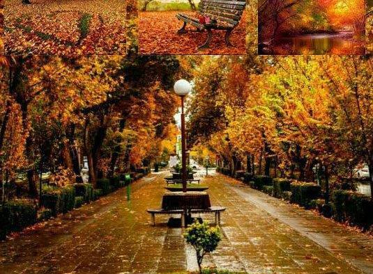 عکس نوشته انگلیسی درباره پاییز