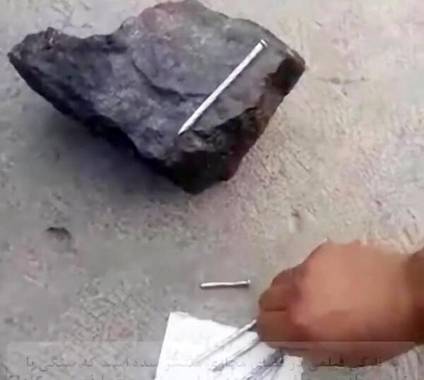 عکس مهره جوجه تیغی