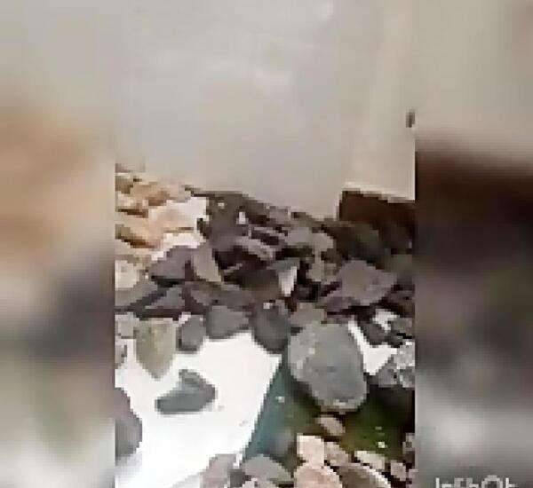 عکس مهره جوجه تیغی