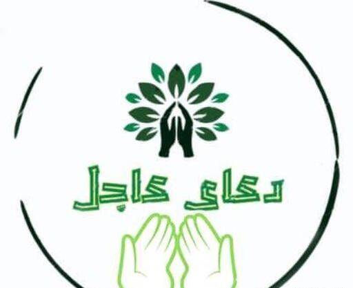 عکس مهره جوجه تیغی