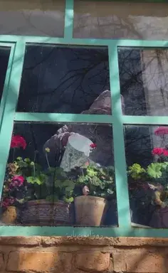 عکس نوشته فاز سنگین رفتن