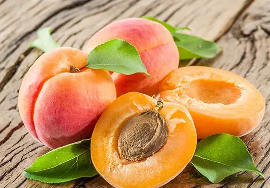 عکس ظرف گیلاس