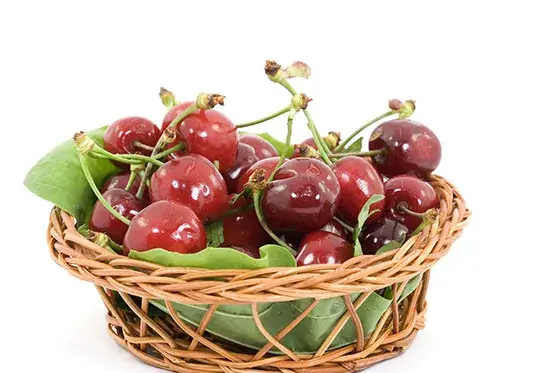 عکس ظرف گیلاس