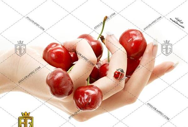عکس ظرف گیلاس