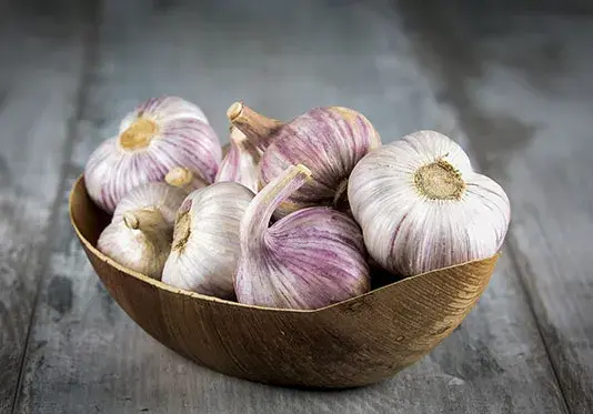 عکس ظرف گیلاس