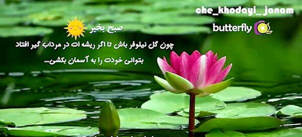 عکس نوشته صبح بخیر گل