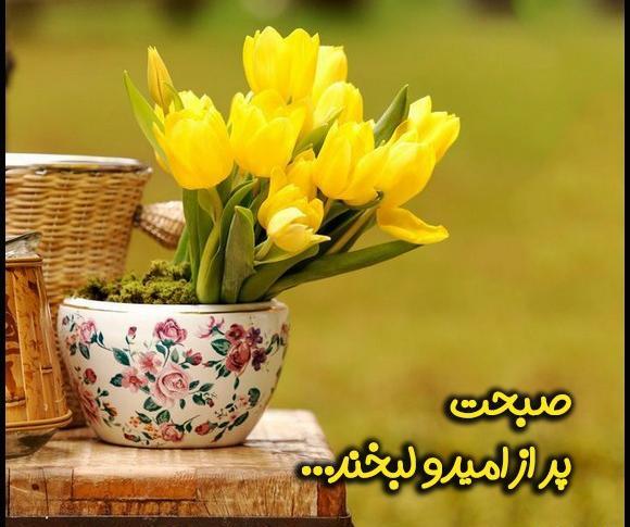 عکس نوشته صبح بخیر گل