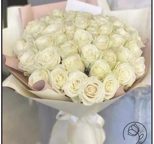 عکس تاپ سفید