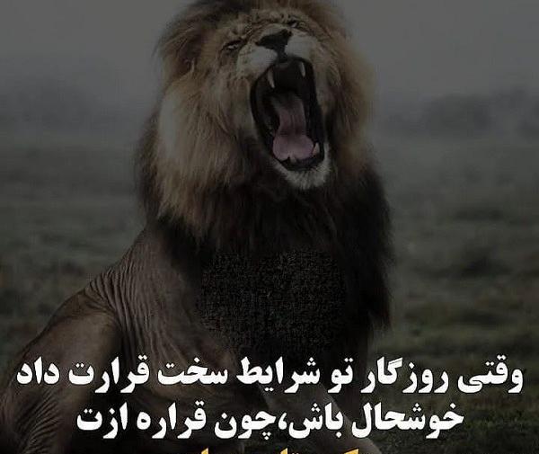 عکس نوشته جدید آدما