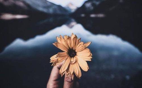 عکس نوشته جدید آدما
