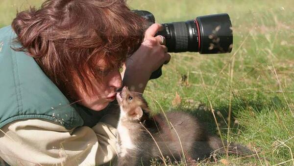 عکس جالب حیات وحش