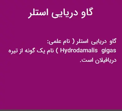 عکس گاو دریایی استلر