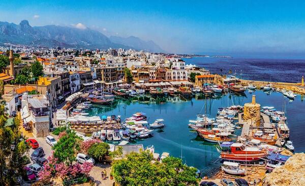 عکس ببر شمالی