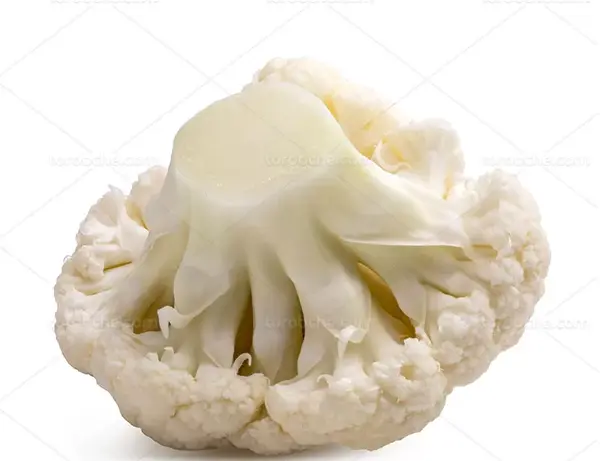 عکس گل کلم