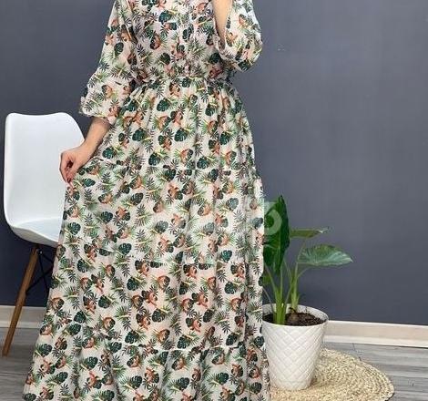 عکس از سگ های سرابی