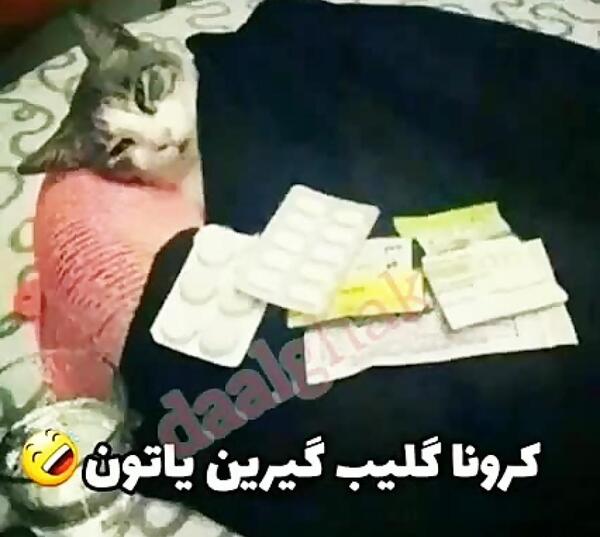 عکس پروفایل کرونا خنده دار