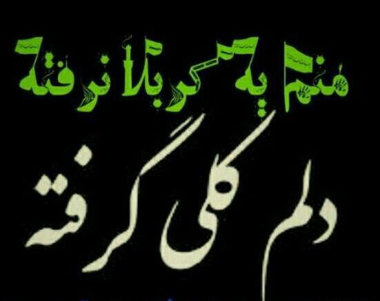 عکس نوشته دلم هوای کربلا کرده