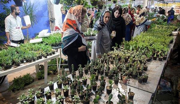 عکس نمایشگاه گل