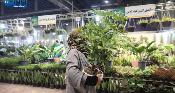 عکس نمایشگاه گل