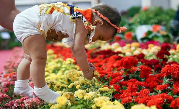 عکس نمایشگاه گل