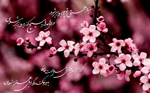 عکس نوشته با متن شاهین
